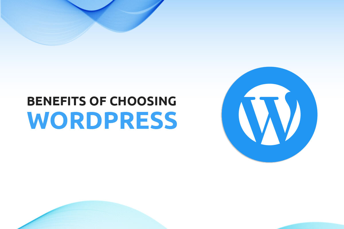 Benefits of Choosing WordPress Development