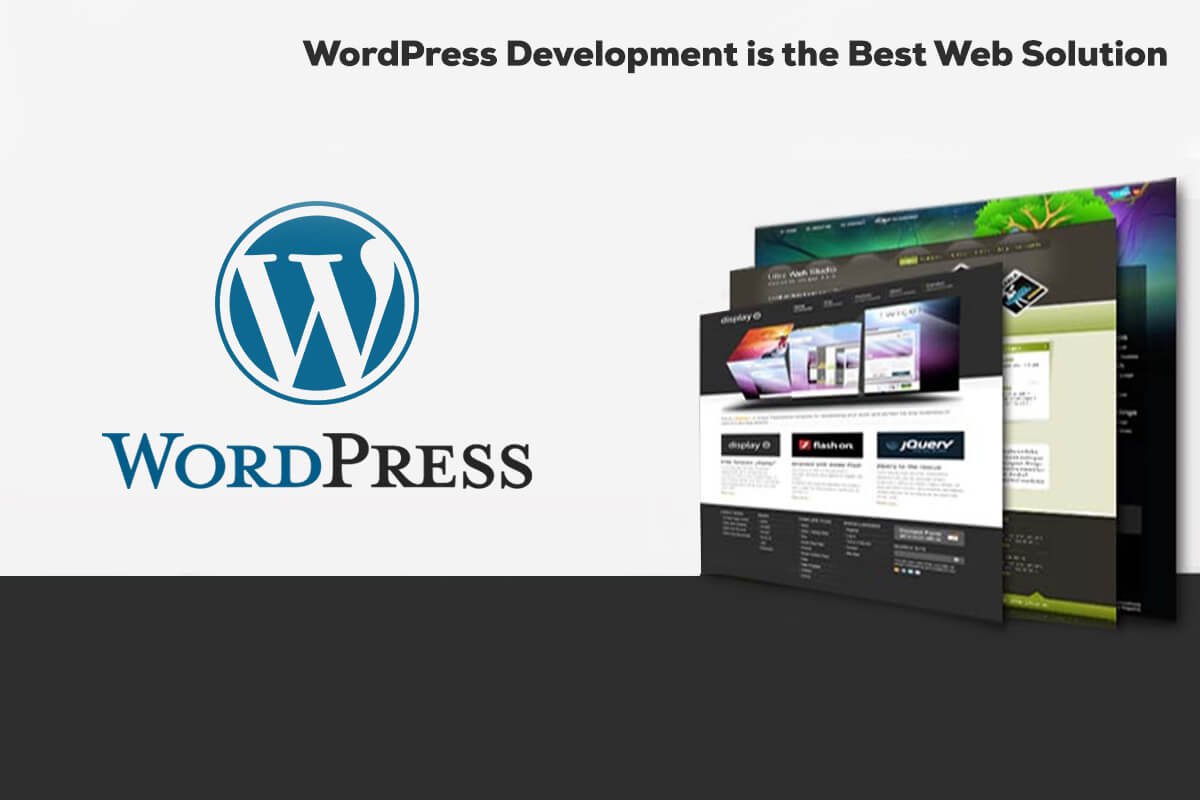WordPress Website Development Creates Beautiful And Highly Functional Websites